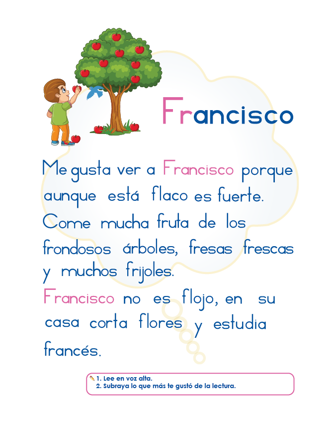 Libro de Lectoescritura - Mi Libro Mágico